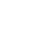 Transaction Fee